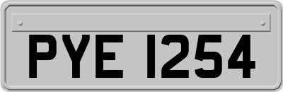 PYE1254