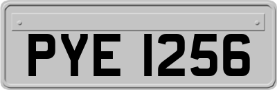 PYE1256