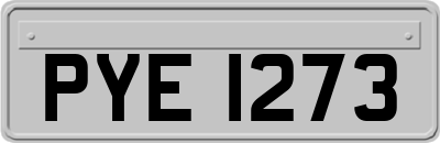 PYE1273