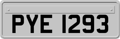 PYE1293