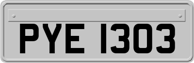 PYE1303