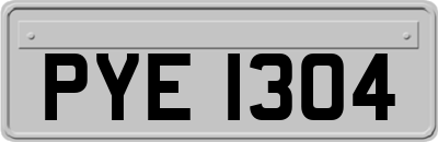 PYE1304