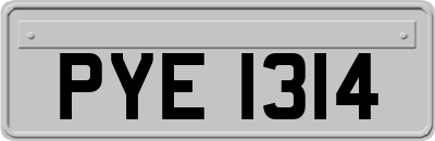 PYE1314