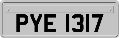 PYE1317