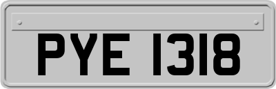 PYE1318