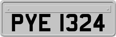 PYE1324