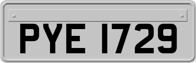 PYE1729