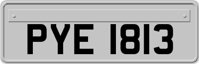 PYE1813