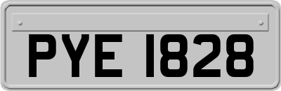 PYE1828