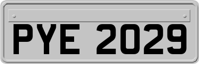 PYE2029