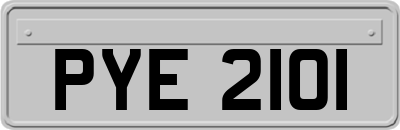 PYE2101