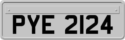 PYE2124