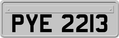 PYE2213