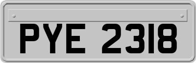 PYE2318