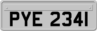 PYE2341