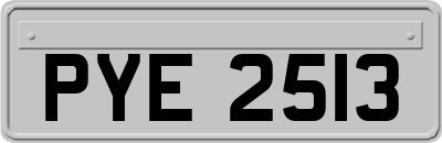 PYE2513