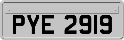 PYE2919