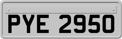 PYE2950