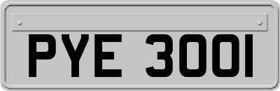 PYE3001