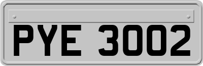 PYE3002