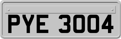 PYE3004