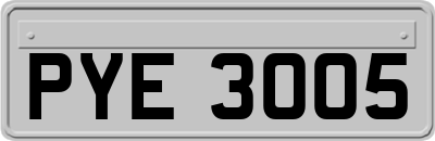 PYE3005