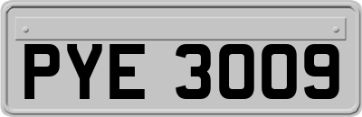 PYE3009