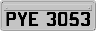 PYE3053