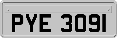 PYE3091