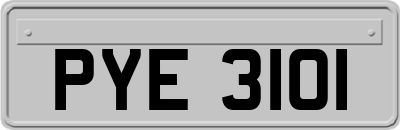 PYE3101