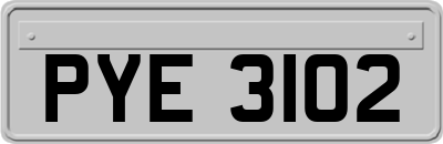 PYE3102