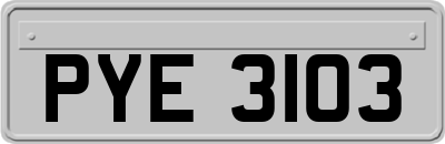 PYE3103