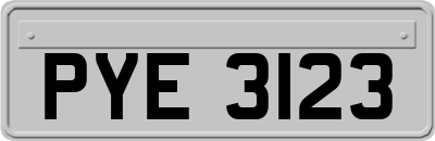 PYE3123