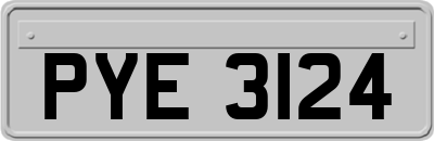 PYE3124