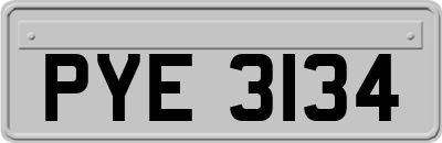 PYE3134