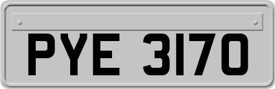 PYE3170