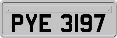 PYE3197