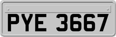 PYE3667