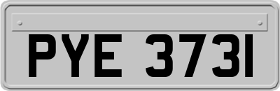 PYE3731