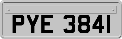 PYE3841