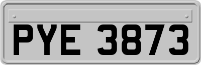 PYE3873