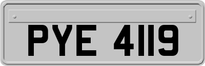 PYE4119