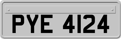 PYE4124