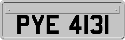 PYE4131