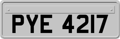 PYE4217