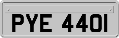 PYE4401