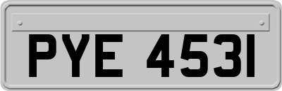 PYE4531