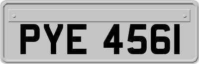 PYE4561