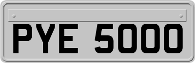 PYE5000