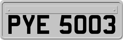 PYE5003